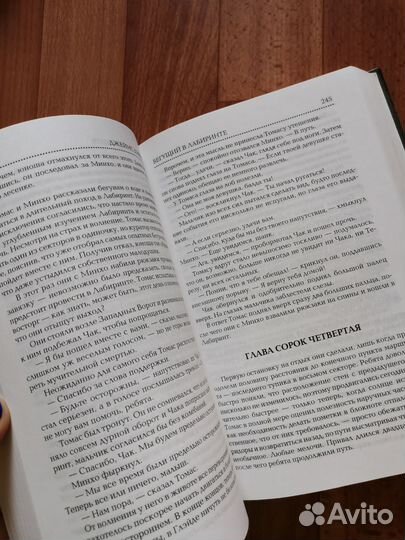 Бегущий в лабиринте - Джеймс Дэшнер