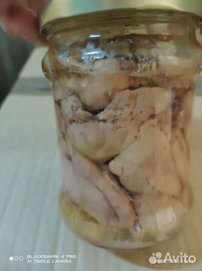 Печень трески оптом