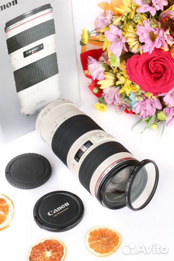 Canon EF 70-200mm f/4L USM, гарантия