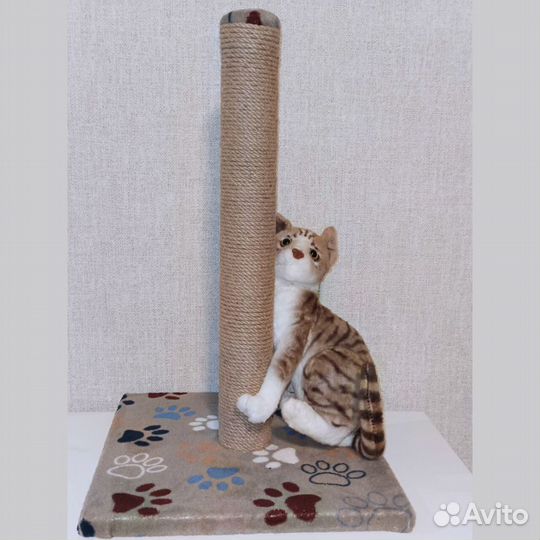 Когтеточка для кошки