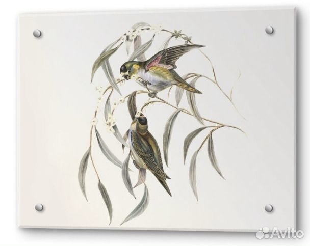 Защитный экран для плиты