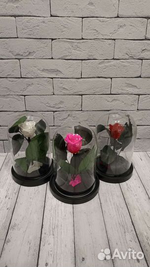 Роза в колбе