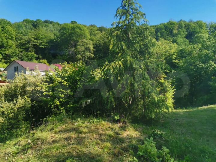 Участок 5,2 сот. (СНТ, ДНП)