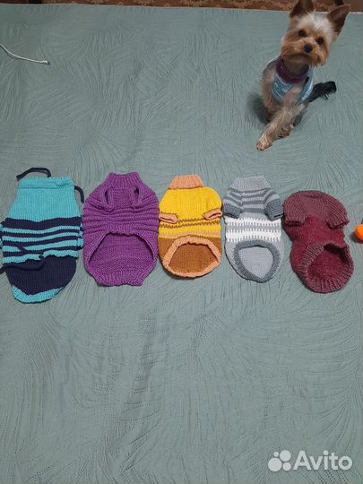Вязаная одежда для мелких пород собак