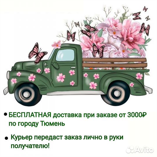 Юкка Комнатные растения Доставка растений