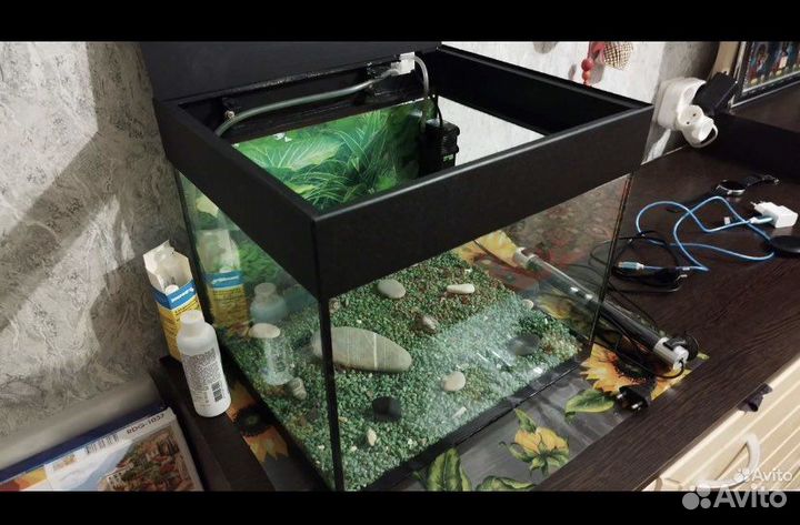 Аквариум для рыб 5 литров со всем содержимым