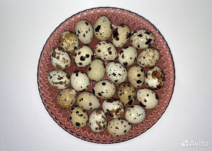 Яйца перепелиные домашние