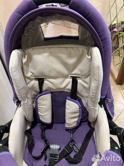 Коляска 2 в 1 Adamex nitro