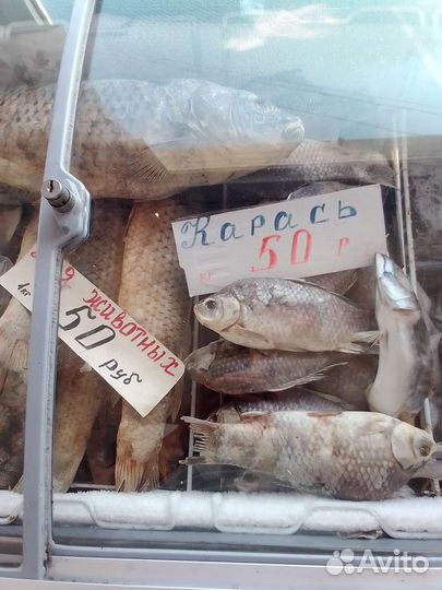 Рыба для животных