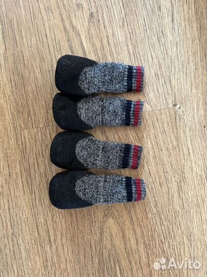 Сапожки, насочки для собак