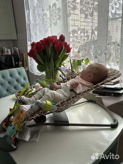 Шезлонг babybjorn