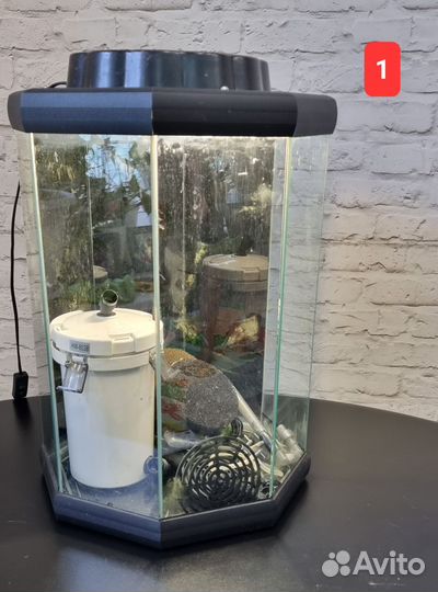 Аквариум аквариумы