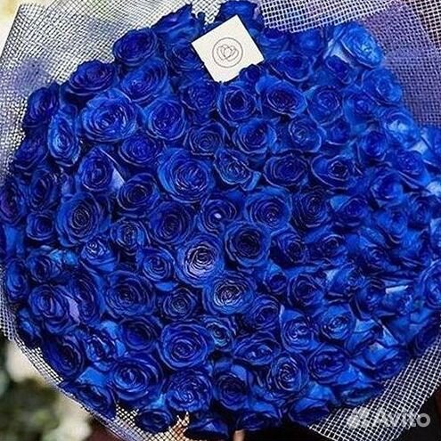Синие розы. Букеты Цветы доставка