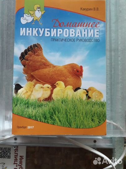 Инкубатор Блиц норма 72