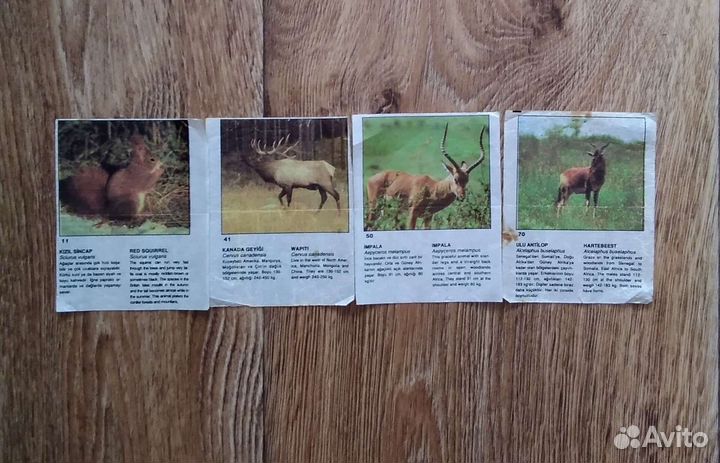 Вкладыши от жевачек СССР Разные