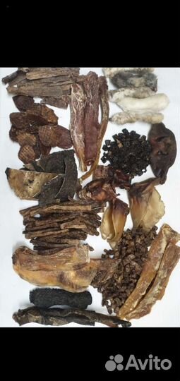 Корма для собак и кошек