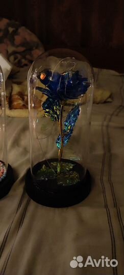 Роза в колбе