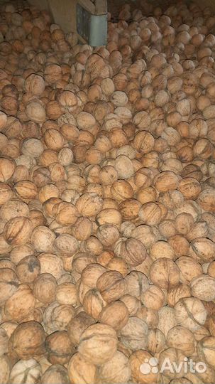 Грецкий орех и фундук