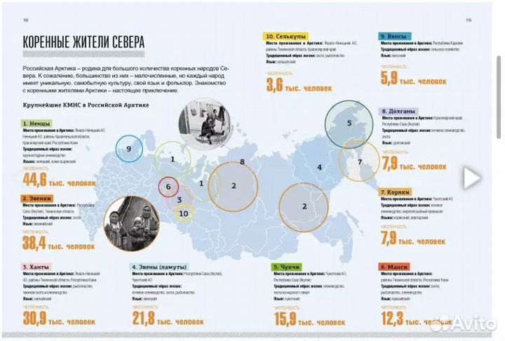 Арктика. Современный путеводитель