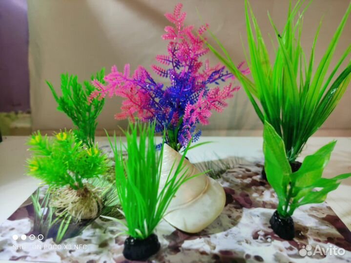 Аквариум, рыбки, растения, декорации