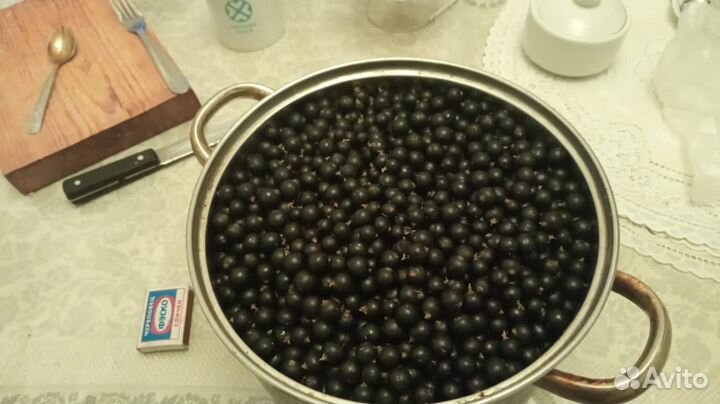 Черная смородина ягода свежая