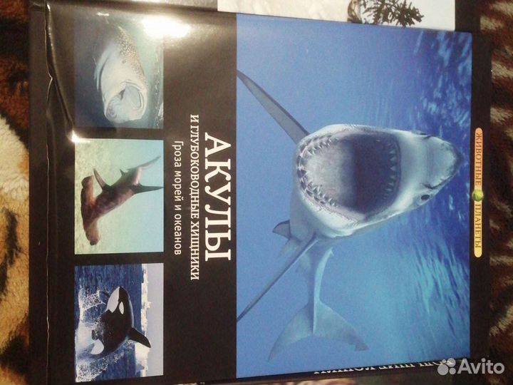 Книги животные планеты