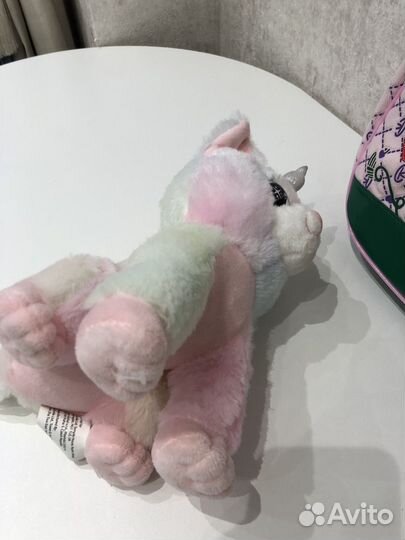 Кот в переноске