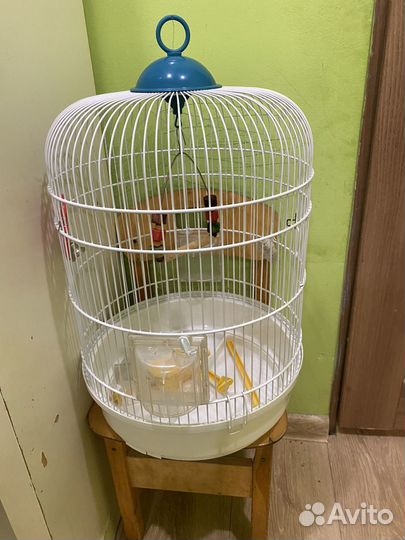 Клетка для паругая