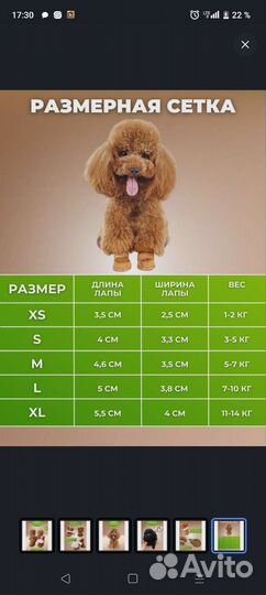 Обувь для маленьких собак