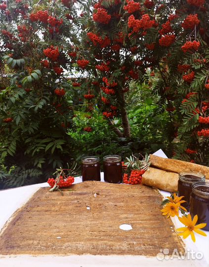 Прополисный холстик