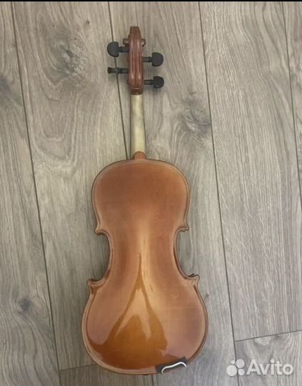Скипка чешская, 3/4