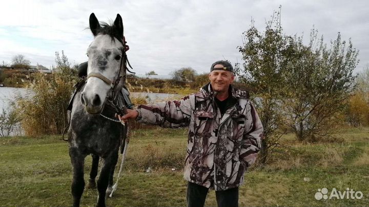 Конский навоз в мешках