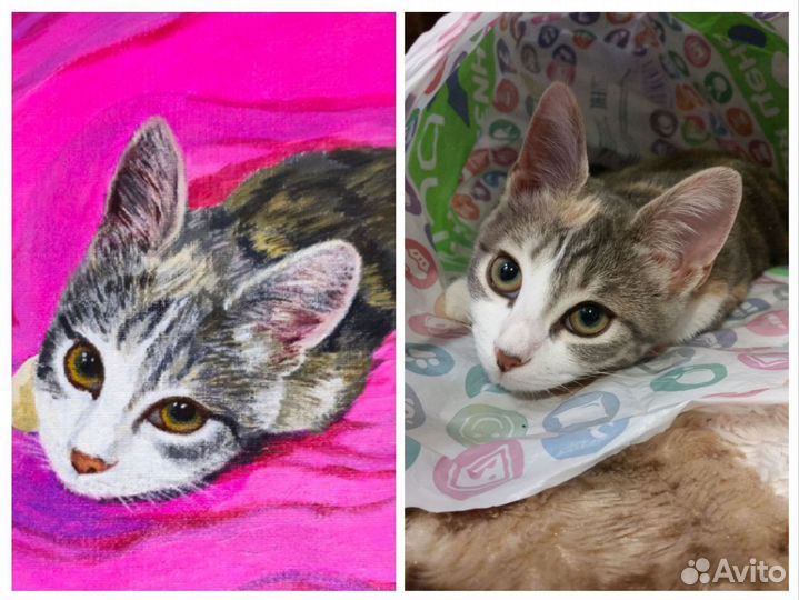 Портрет по фото на заказ. Ваш домашний питомец