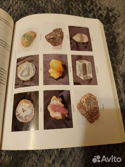 Викка Лекса Росеан Дебора Липп