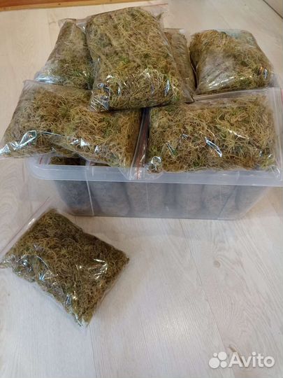 Мох сфагнум сухой