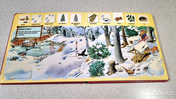 Книга 1000 окошек В лесу, художник Тони Вульф