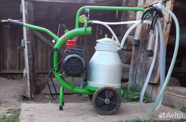 Доильный аппарат для коров