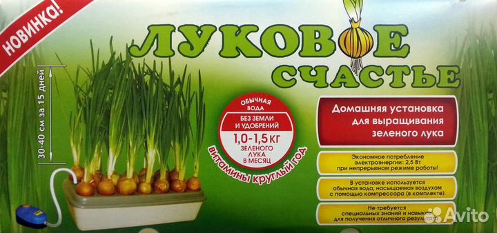 Луковое счастье