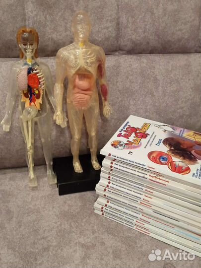 Коллекция книг Как устроено тело человека