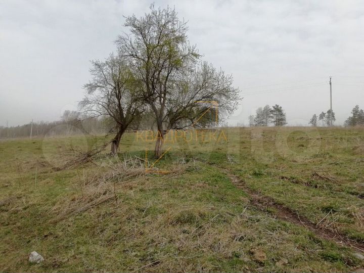 Участок 20 сот. (СНТ, ДНП)