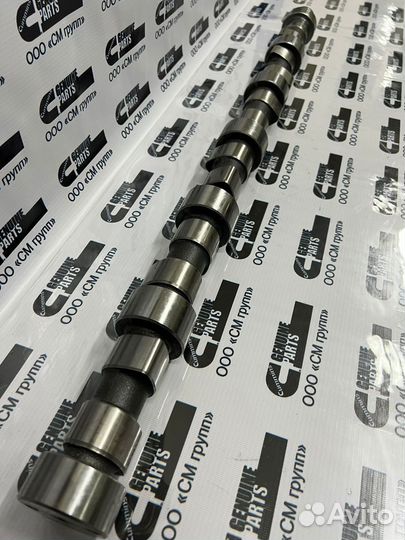 Распределительный вал (распредвал) Cummins QSC