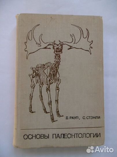 Природа, путешествия