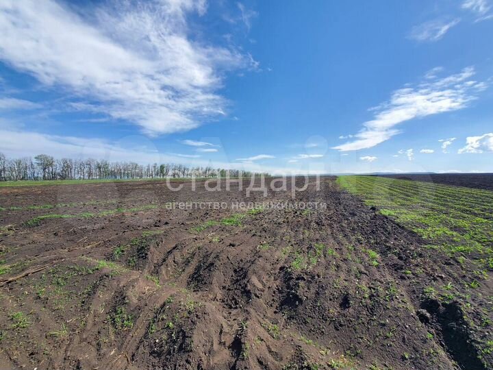 Участок 18,6 га (СНТ, ДНП)