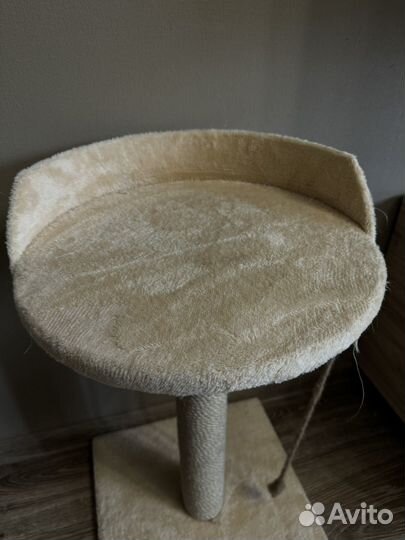 Когтеточка