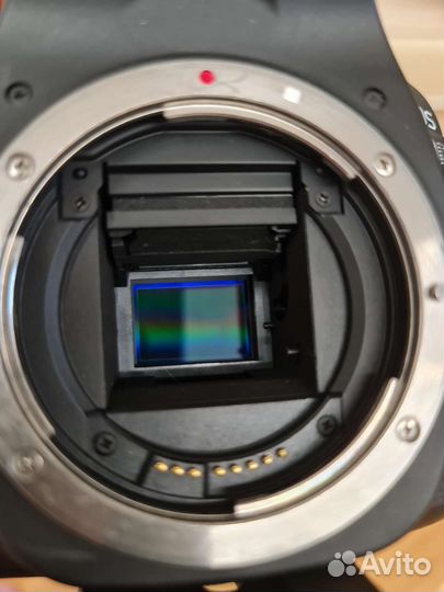 Зеркальный фотоаппарат Canon 80D