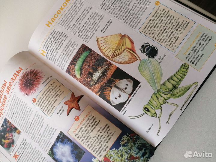 Книги для детей энциклопедия