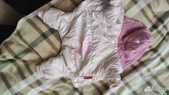 Одежда для маленьких пород собак