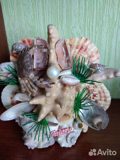 Инсталляция из ракушек