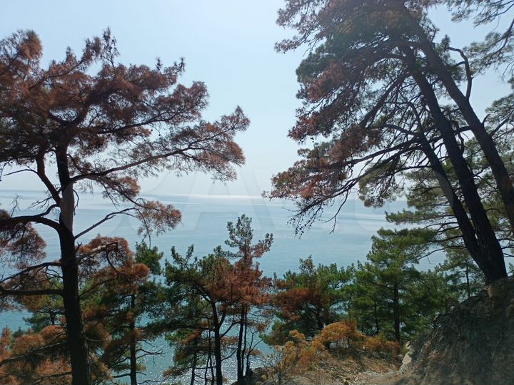 База отдыха на побережье, 16 300 м2