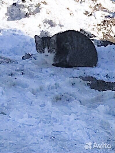 Малышка слепнет